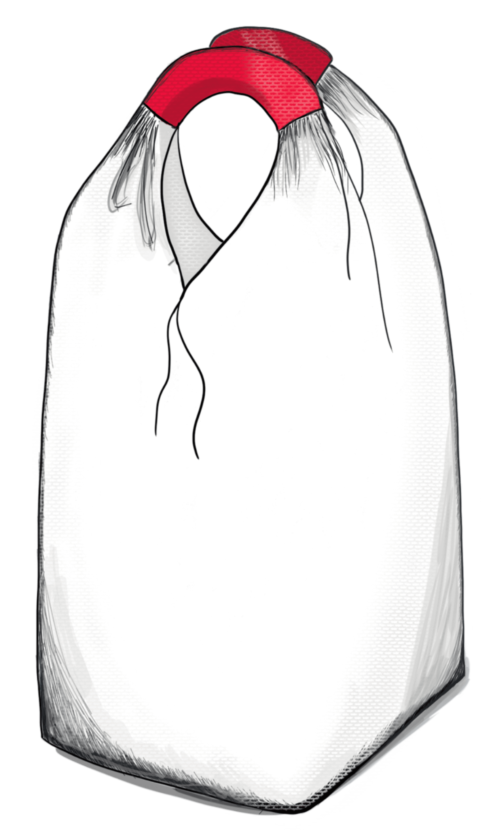 Double-loop big bags 